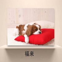 狗狗 水晶膜60*50容纳宽50高40 免打孔现代简约电表箱装饰画遮挡总开关电闸箱盒配电表箱电表挂画