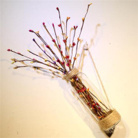 空瓶+仿真小浆果花 新款 墙壁装饰花瓶纯手工装饰水培玻璃瓶简约文艺zakka装饰挂件