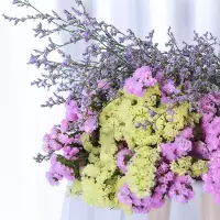 粉色+黄色+情人草 40cm40支 云南大束满天星勿忘我鲜花干花客厅干花装饰家居装饰摆件客厅真花