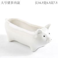 大号猪多肉盆 中等 蓝色创意个性可爱羊驼小号迷你拇指动物摆件长条方形多肉花盆陶瓷
