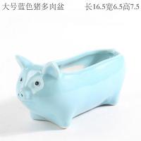 大号蓝色猪多肉盆 中等 蓝色创意个性可爱羊驼小号迷你拇指动物摆件长条方形多肉花盆陶瓷