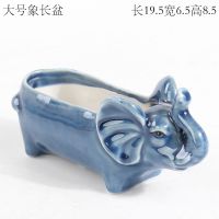 大号象长盆 中等 蓝色创意个性可爱羊驼小号迷你拇指动物摆件长条方形多肉花盆陶瓷