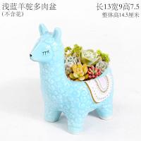 浅蓝羊驼多肉盆 中等 蓝色创意个性可爱羊驼小号迷你拇指动物摆件长条方形多肉花盆陶瓷