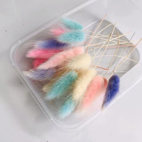 兔尾草一份 永生花干花手工DIY材料压花相框幼儿园滴胶香薰蜡片贴画装饰藤圈