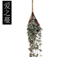 爱之蔓+编织吊篮 百万心爱之蔓佛珠吊兰悬挂室内阳台壁挂垂吊藤蔓开花绿植四季长青