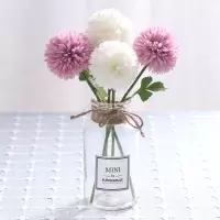 MN乒乓菊2白2沙红 送玻璃瓶小清新绣球假花仿真花客厅摆设餐桌塑料绢花艺装饰品摆件