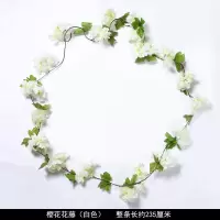 樱花藤条白色一条(买三条送一条) 仿真玫瑰花藤条假花室内客厅空调管道装饰遮挡塑料紫藤花藤蔓植物