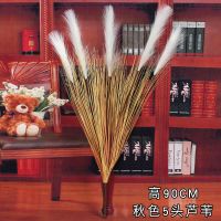 秋色5头芦苇1把 仿真芦苇狗尾巴干花假花粉色芦苇花客厅卧室落地橱窗装饰