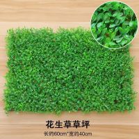 花生草坪(40厘米*60厘米) 仿真植物墙坪花墙背景墙绿植墙塑料假坪背景壁挂头阳台装饰