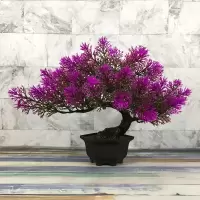 黑色六角盆.千层金[莲色] 塑料花假花仿真花 买花送盆 花卉假花盆栽仿真绿植小树球客厅装饰