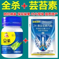 全杀2瓶+芸苔素4袋 番茄 全杀灰霉早晚疫病炭疽根腐烂根青枯脐腐批发蔬菜类