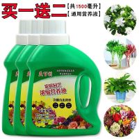 通用型营养液发财树富贵竹多肉绿萝水培土培花卉盆栽花肥料液体肥