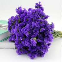 30支[热卖][品质推荐]紫色配草 带主图款圆花篮-搭配好发货[推荐] 花卉基地勿忘我干花花束真花批发满天星永生客厅装饰