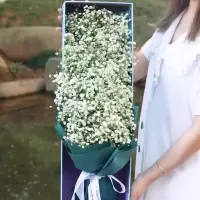 X002白色满天星礼盒 满天星花束速递干花真花鲜花插花家居客厅装饰摆件送爱人