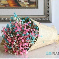 三色自选留言 长40cm宽20cm 干花真花花束云南满天星勿忘我家居百搭送礼客厅卧室装饰天然真花