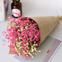 双色自选留言 长40cm宽20cm 干花真花花束云南满天星勿忘我家居百搭送礼客厅卧室装饰天然真花