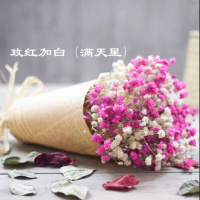 玫红加白色 长40cm宽20cm 干花真花花束云南满天星勿忘我家居百搭送礼客厅卧室装饰天然真花