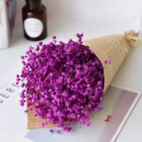 紫色 长40cm宽20cm 干花真花花束云南满天星勿忘我家居百搭送礼客厅卧室装饰天然真花