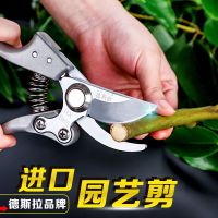 粗枝剪树枝修枝剪摘水果花木剪刀园林果树花卉枝嫁接园艺剪刀工具