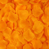 橙色花瓣 10包装[约1000] 婚床布置装饰假花瓣仿真玫瑰花瓣婚礼手撒花表白求婚结婚庆用品