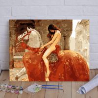 321-戈黛娃夫人 40*50cm不带内框 数字油画diy手工填色客厅减压半面妆萧十一狼动漫卡通装饰油彩画