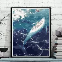 GX2369鲸鱼1 40*50内框+黑/白/金/白金外框 diy数字油画大鱼油彩画儿童手绘创意抽象蓝色鲸鱼装饰画清新天空