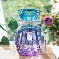 15南瓜F1 中等 透明玻璃花瓶北欧客厅插花干花摆件现代简约大小花器清新装饰花盆