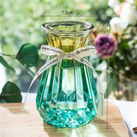 15南瓜F3 中等 透明玻璃花瓶北欧客厅插花干花摆件现代简约大小花器清新装饰花盆