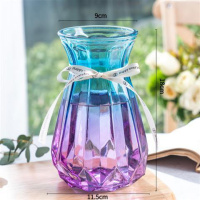 18南瓜F1 中等 透明玻璃花瓶北欧客厅插花干花摆件现代简约大小花器清新装饰花盆