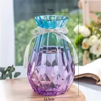 18钻石F1 中等 透明玻璃花瓶北欧客厅插花干花摆件现代简约大小花器清新装饰花盆