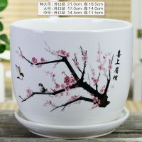 79036喜上眉俏 中等 花盆陶瓷加厚特大号带托盘绿萝吊兰室内多肉创意绿植简约花盘清仓