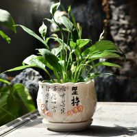 单个一枝独秀花盆 特大号22厘米 花盆陶瓷简约清仓特价特大号大号托盘创意塑料吊兰带绿萝多肉花盆