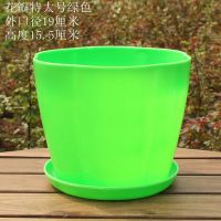 [3个盆绿色] 花瓣中号[口径13厘米]带托盘 大号花盆彩色塑料树脂花盆高光仿陶瓷室内盆栽绿萝盆玫瑰盆送托盘