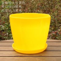 [5个盆黄色] 螺纹特大号[口径18.5厘米]带托盘 大号花盆彩色塑料树脂花盆高光仿陶瓷室内盆栽绿萝盆玫瑰盆送托盘