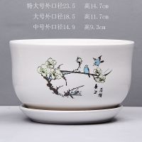 51004单个 特大 白色花盆陶瓷 特大号个性圆形时尚花器 简约创意多肉绿植种树花盆