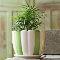 单个新款艺术花瓣花盆 特大号22厘米 花盆陶瓷简约清仓特价特大号大号托盘创意塑料吊兰带绿萝多肉花盆