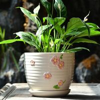 单个梅花点点花盆 中号14厘米 花盆陶瓷简约清仓特价特大号大号托盘创意塑料吊兰带绿萝多肉花盆