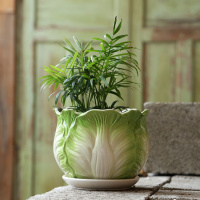 单个玉翡翠花盆 小号10厘米 花盆陶瓷简约清仓特价特大号大号托盘创意塑料吊兰带绿萝多肉花盆