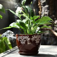 单个高端经典花盆 中号14厘米 花盆陶瓷简约清仓特价特大号大号托盘创意塑料吊兰带绿萝多肉花盆