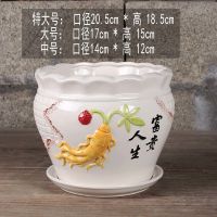 富贵人生 特大号 陶瓷花盆个性特大创意多肉室内简约清仓绿萝塑料盆花缸带托盘特价