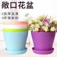敞口盆 中号5个装[混色] 加厚花盆[送托盘+花种+肥料]绿植多肉绿萝花盆塑料花盆特价清仓