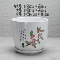 新款（春） 大号 陶瓷花盆个性特大创意多肉室内简约清仓绿萝塑料盆花缸带托盘特价