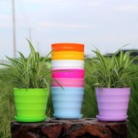 螺纹盆 特大3个装【混色】 加厚花盆【送托盘+花种+肥料】绿植多肉绿萝花盆塑料花盆特价清仓