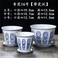 青花16号三件套[配瓷托] 青花瓷花盆陶瓷清仓带托盘大号多肉花盆古韵中国风套装花盆批发
