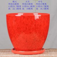 高款红花釉单个 特大 特大号陶瓷花盆中国古典孔雀蓝珍珠釉简约绿萝绿植盆栽种树盆包