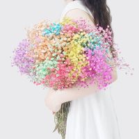 七彩星 大束1斤 超大束满天星干花花束真花云南批发论斤卖勿忘我客厅鲜花干花摆设