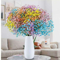 五色满天星 一大束25支含[玻璃]花瓶 云南满天星干花花束客厅摆件勿忘我组合含瓶干花客厅真花插花摆设