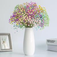 混搭满天星 一大束30支 云南满天星干花花束客厅摆件勿忘我组合含瓶干花客厅真花插花摆设