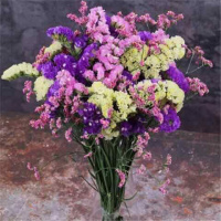 粉色+黄色+紫色+红水晶 一大束30支 云南满天星干花花束客厅摆件勿忘我组合含瓶干花客厅真花插花摆设