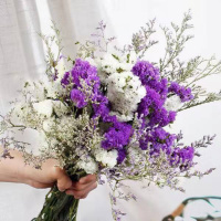 紫色+白色+情人草 一大束30支 云南满天星干花花束客厅摆件勿忘我组合含瓶干花客厅真花插花摆设
